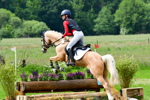 Goldene Schärpe Ponys in Löningen  4+5.6.22 | 04062022 - Gelände  2 Abt _469 