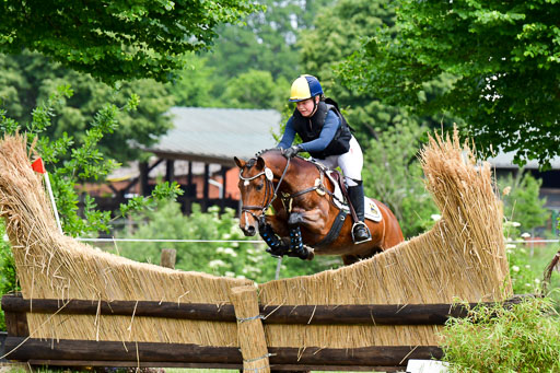 Goldene Schärpe Ponys in Löningen  4+5.6.22 | 04062022 - Gelände  2 Abt _480 
