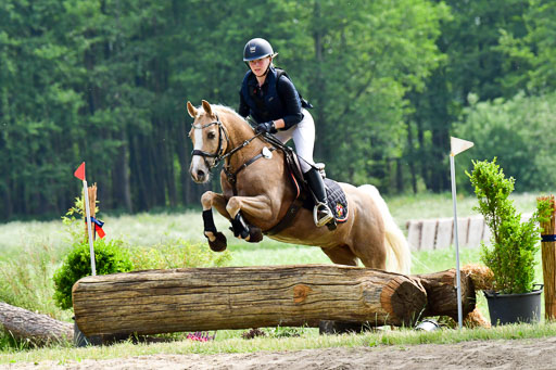 Goldene Schärpe Ponys in Löningen  4+5.6.22 | 04062022 - Gelände  2 Abt _515 