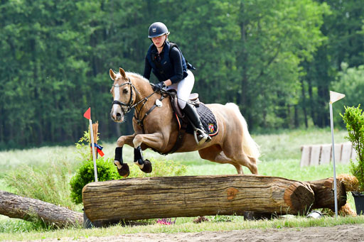 Goldene Schärpe Ponys in Löningen  4+5.6.22 | 04062022 - Gelände  2 Abt _516 