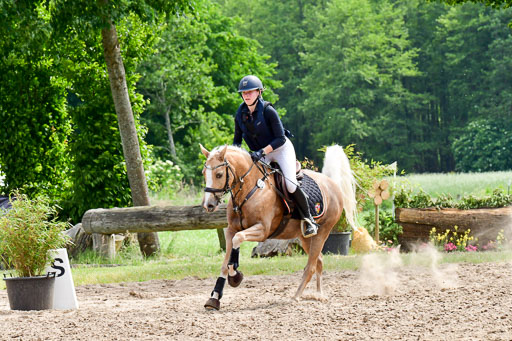 Goldene Schärpe Ponys in Löningen  4+5.6.22 | 04062022 - Gelände  2 Abt _517 