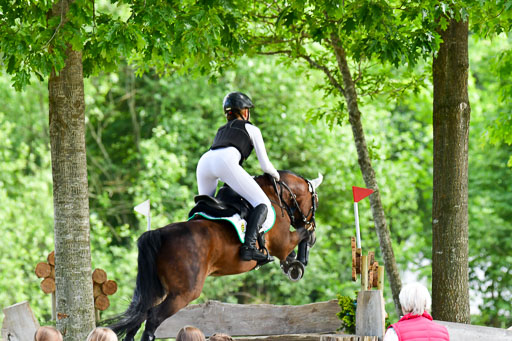 Goldene Schärpe Ponys in Löningen  4+5.6.22 | 04062022 - Gelände  2 Abt _553 