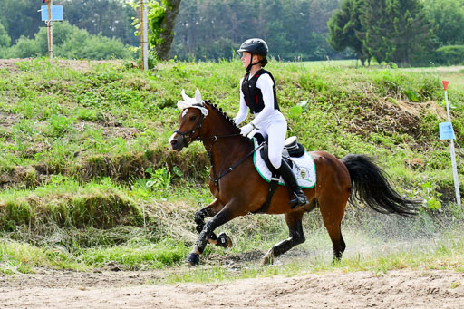 Goldene Schärpe Ponys in Löningen  4+5.6.22 | 04062022 - Gelände  2 Abt _557 