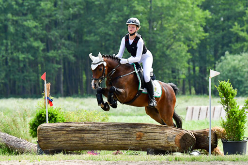 Goldene Schärpe Ponys in Löningen  4+5.6.22 | 04062022 - Gelände  2 Abt _558 