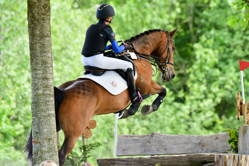 Goldene Schärpe Ponys in Löningen  4+5.6.22 | 04062022 - Gelände  2 Abt _591 