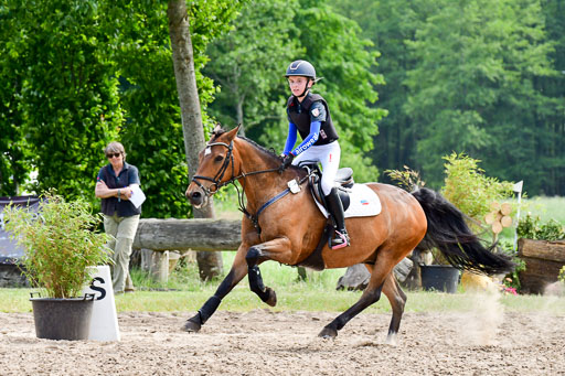 Goldene Schärpe Ponys in Löningen  4+5.6.22 | 04062022 - Gelände  2 Abt _595 