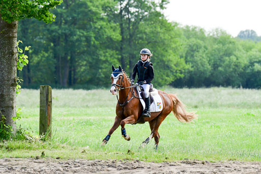 Goldene Schärpe Ponys in Löningen  4+5.6.22 | 04062022 - Gelände  2 Abt _641 