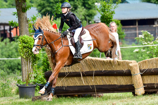 Goldene Schärpe Ponys in Löningen  4+5.6.22 | 04062022 - Gelände  2 Abt _650 