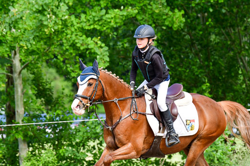 Goldene Schärpe Ponys in Löningen  4+5.6.22 | 04062022 - Gelände  2 Abt _651 