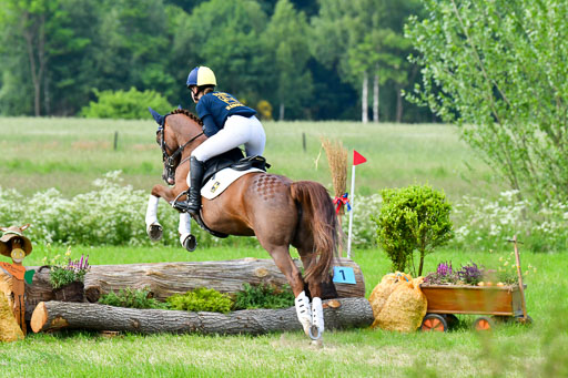 Goldene Schärpe Ponys in Löningen  4+5.6.22 | 04062022 - Gelände  2 Abt _653 