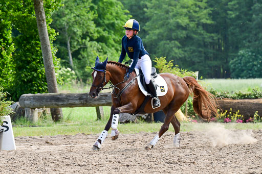 Goldene Schärpe Ponys in Löningen  4+5.6.22 | 04062022 - Gelände  2 Abt _661 