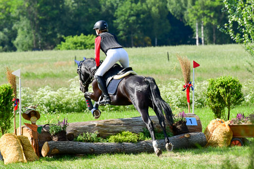 Goldene Schärpe Ponys in Löningen  4+5.6.22 | 04062022 - Gelände  2 Abt _807 