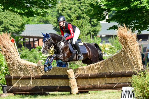 Goldene Schärpe Ponys in Löningen  4+5.6.22 | 04062022 - Gelände  2 Abt _819 