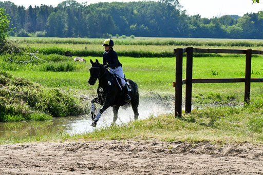 Goldene Schärpe Ponys in Löningen  4+5.6.22 | 04062022 - Gelände  2 Abt _824 