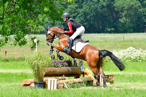 Goldene Schärpe Ponys in Löningen  4+5.6.22 | 04062022 - Gelände  2 Abt 