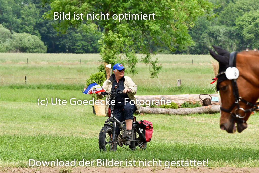 Goldene Schärpe Ponys in Löningen  4+5.6.22 | 04062022 Impressionen_16 