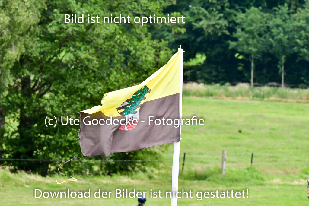 Goldene Schärpe Ponys in Löningen  4+5.6.22 | 04062022 Impressionen_27 