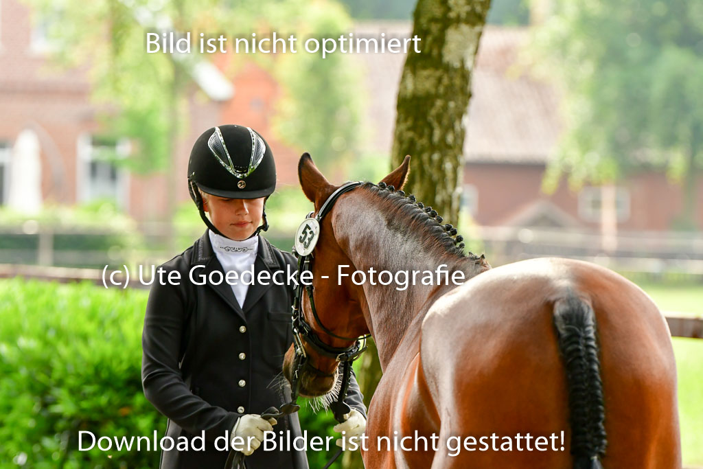 Goldene Schärpe Ponys in Löningen 4+5.6.22 | 05062022 Vormustern_010