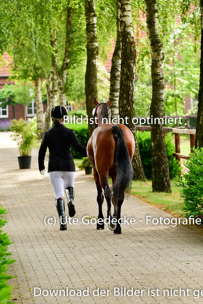 Goldene Schärpe Ponys in Löningen 4+5.6.22 | 05062022 Vormustern_013