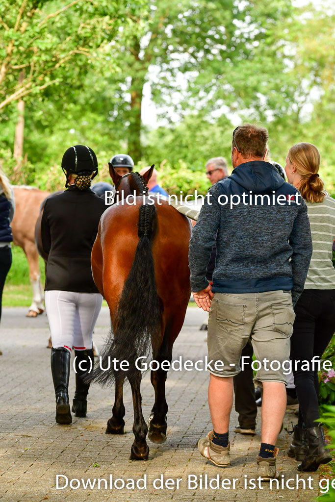 Goldene Schärpe Ponys in Löningen 4+5.6.22 | 05062022 Vormustern_017