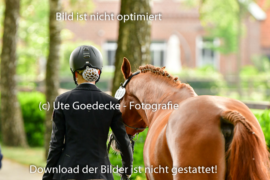 Goldene Schärpe Ponys in Löningen 4+5.6.22 | 05062022 Vormustern_018