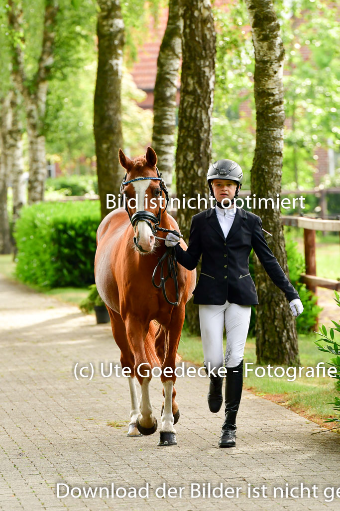 Goldene Schärpe Ponys in Löningen 4+5.6.22 | 05062022 Vormustern_021