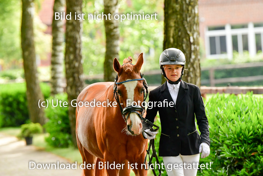 Goldene Schärpe Ponys in Löningen 4+5.6.22 | 05062022 Vormustern_022