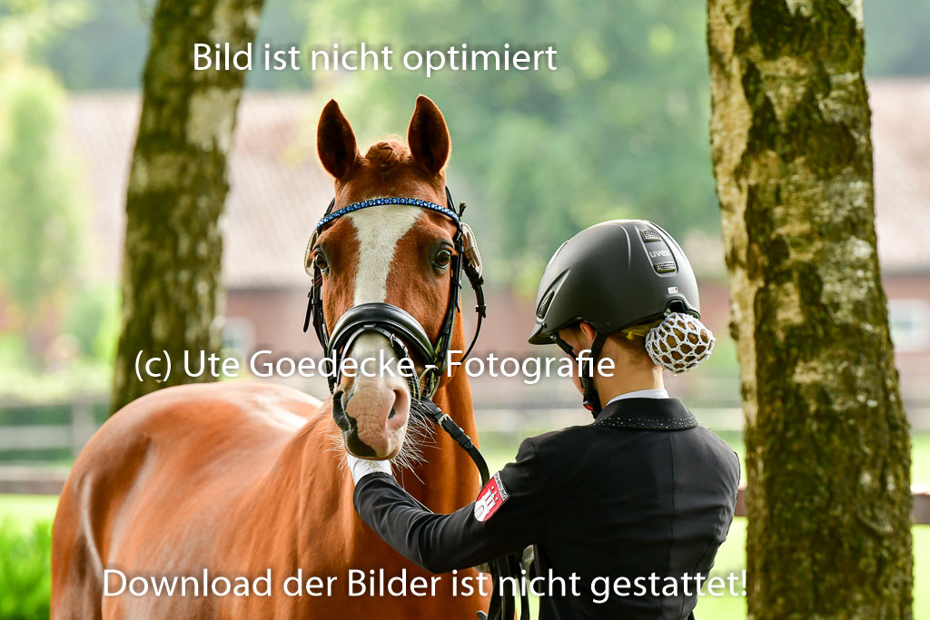 Goldene Schärpe Ponys in Löningen 4+5.6.22 | 05062022 Vormustern_023