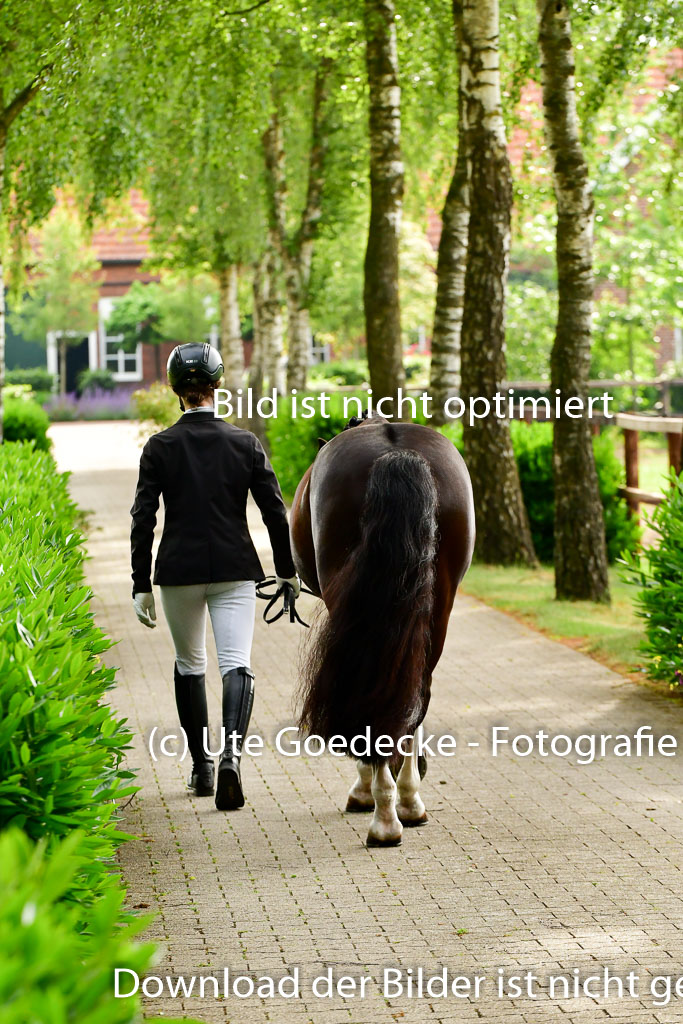 Goldene Schärpe Ponys in Löningen 4+5.6.22 | 05062022 Vormustern_025
