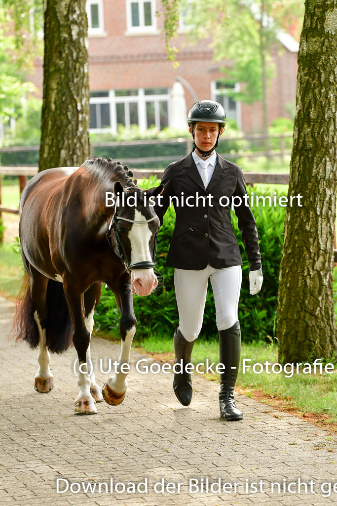 Goldene Schärpe Ponys in Löningen 4+5.6.22 | 05062022 Vormustern_027