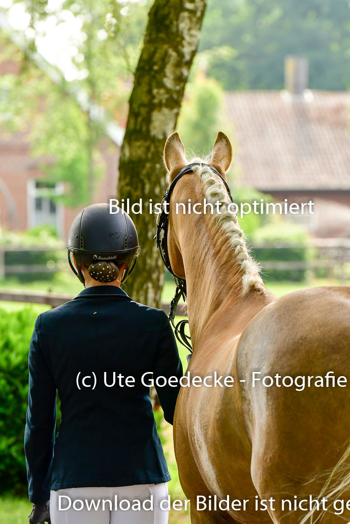 Goldene Schärpe Ponys in Löningen 4+5.6.22 | 05062022 Vormustern_029