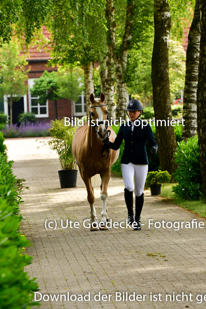 Goldene Schärpe Ponys in Löningen 4+5.6.22 | 05062022 Vormustern_033