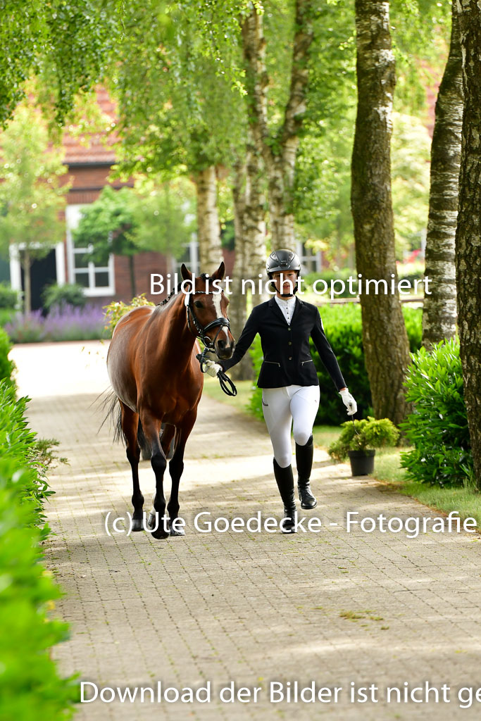Goldene Schärpe Ponys in Löningen 4+5.6.22 | 05062022 Vormustern_039