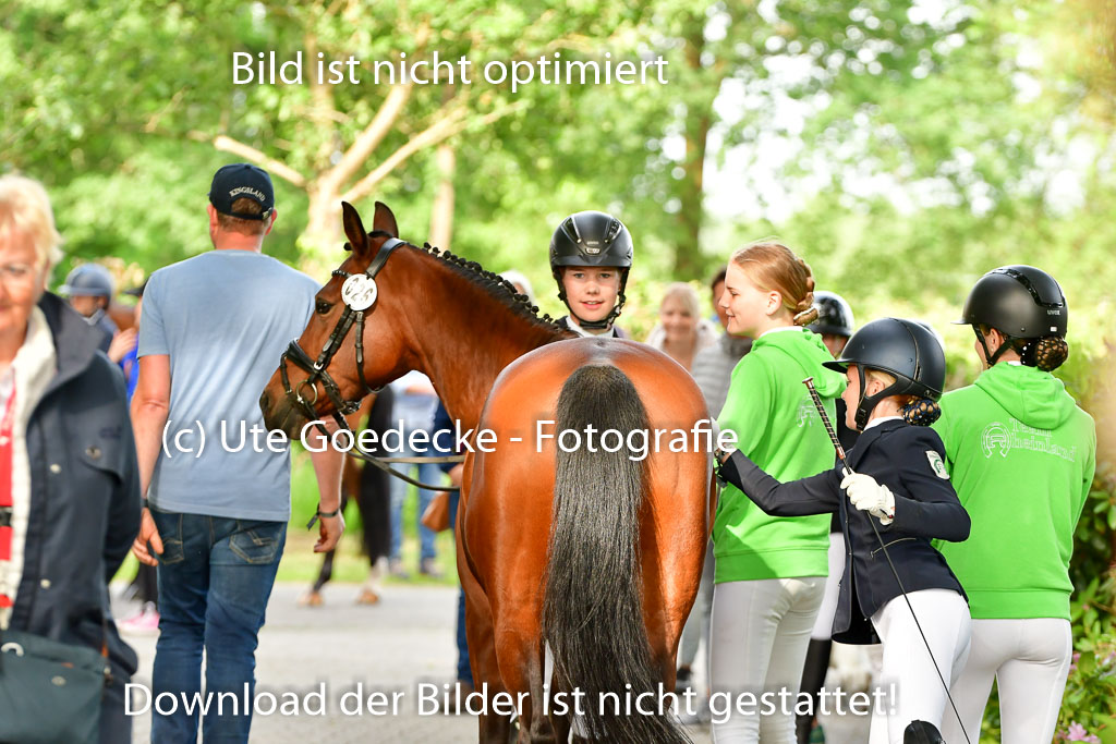 Goldene Schärpe Ponys in Löningen 4+5.6.22 | 05062022 Vormustern_043