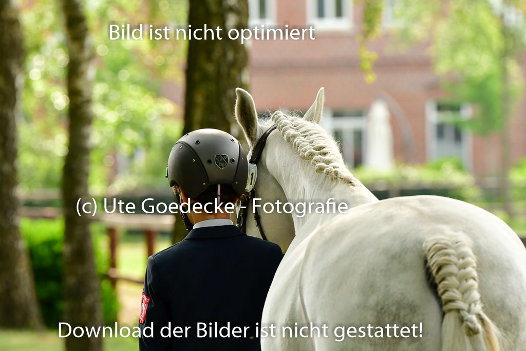 Goldene Schärpe Ponys in Löningen 4+5.6.22 | 05062022 Vormustern_044