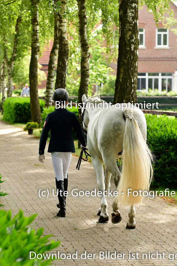 Goldene Schärpe Ponys in Löningen 4+5.6.22 | 05062022 Vormustern_046
