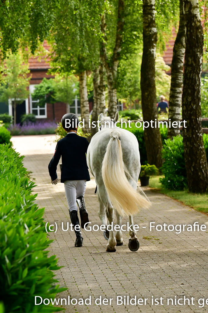 Goldene Schärpe Ponys in Löningen 4+5.6.22 | 05062022 Vormustern_047