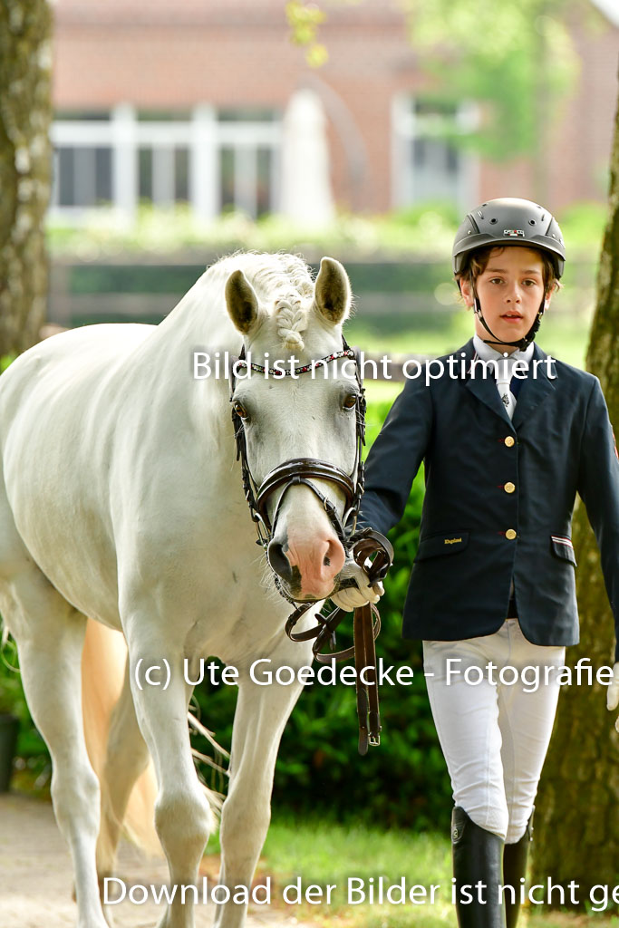 Goldene Schärpe Ponys in Löningen 4+5.6.22 | 05062022 Vormustern_049