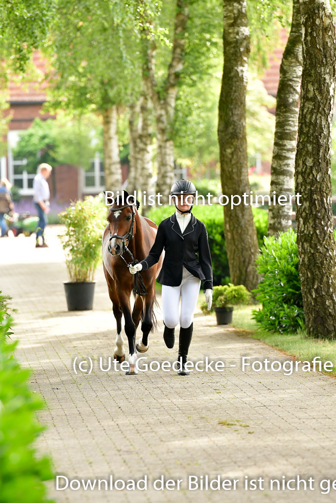Goldene Schärpe Ponys in Löningen 4+5.6.22 | 05062022 Vormustern_055