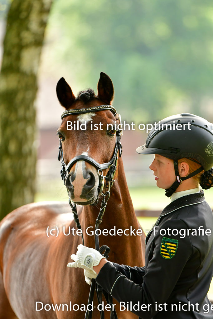 Goldene Schärpe Ponys in Löningen 4+5.6.22 | 05062022 Vormustern_056