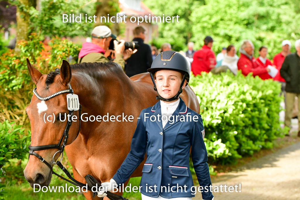 Goldene Schärpe Ponys in Löningen 4+5.6.22 | 05062022 Vormustern_061