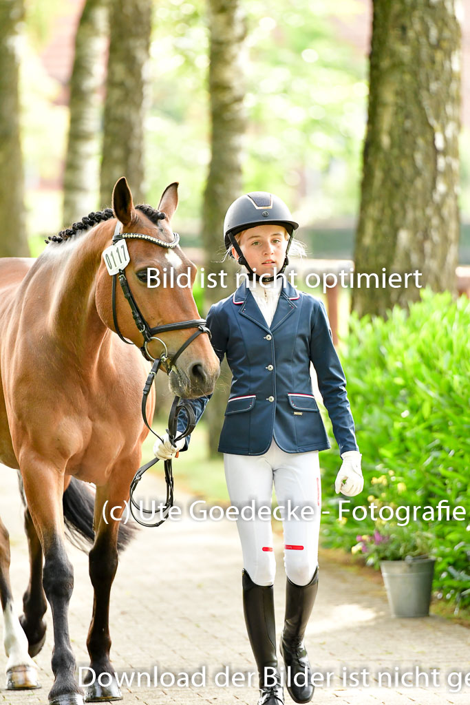 Goldene Schärpe Ponys in Löningen 4+5.6.22 | 05062022 Vormustern_065