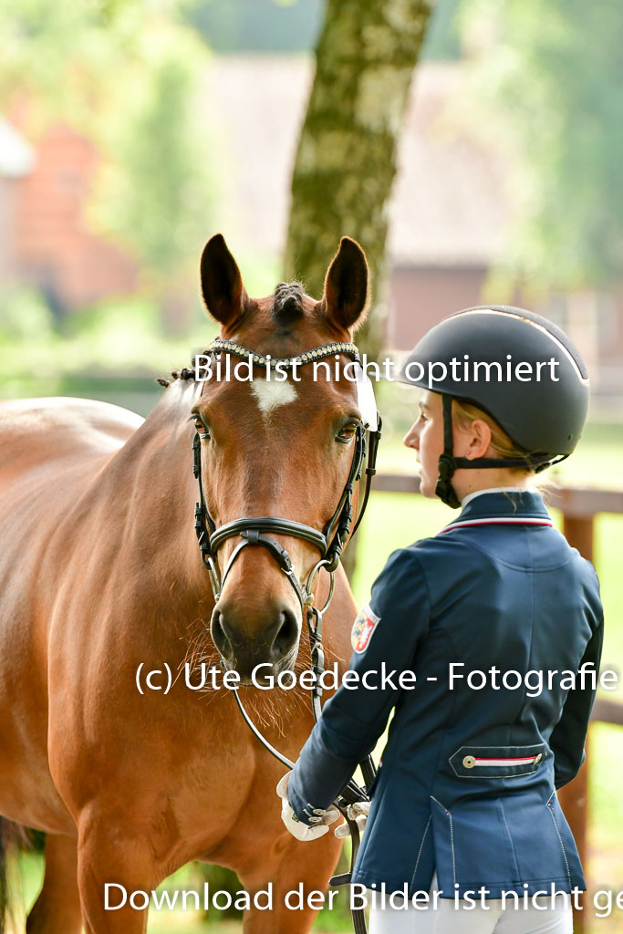 Goldene Schärpe Ponys in Löningen 4+5.6.22 | 05062022 Vormustern_066