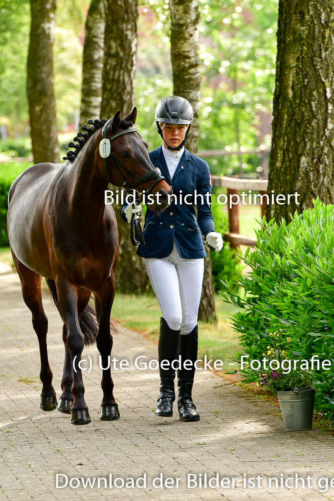 Goldene Schärpe Ponys in Löningen 4+5.6.22 | 05062022 Vormustern_069