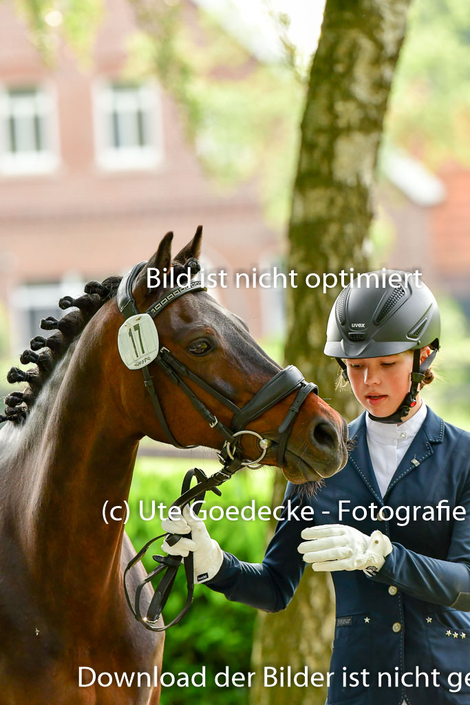 Goldene Schärpe Ponys in Löningen 4+5.6.22 | 05062022 Vormustern_070
