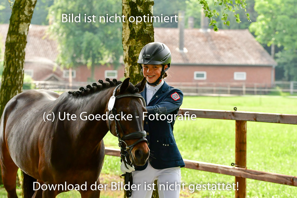 Goldene Schärpe Ponys in Löningen 4+5.6.22 | 05062022 Vormustern_071