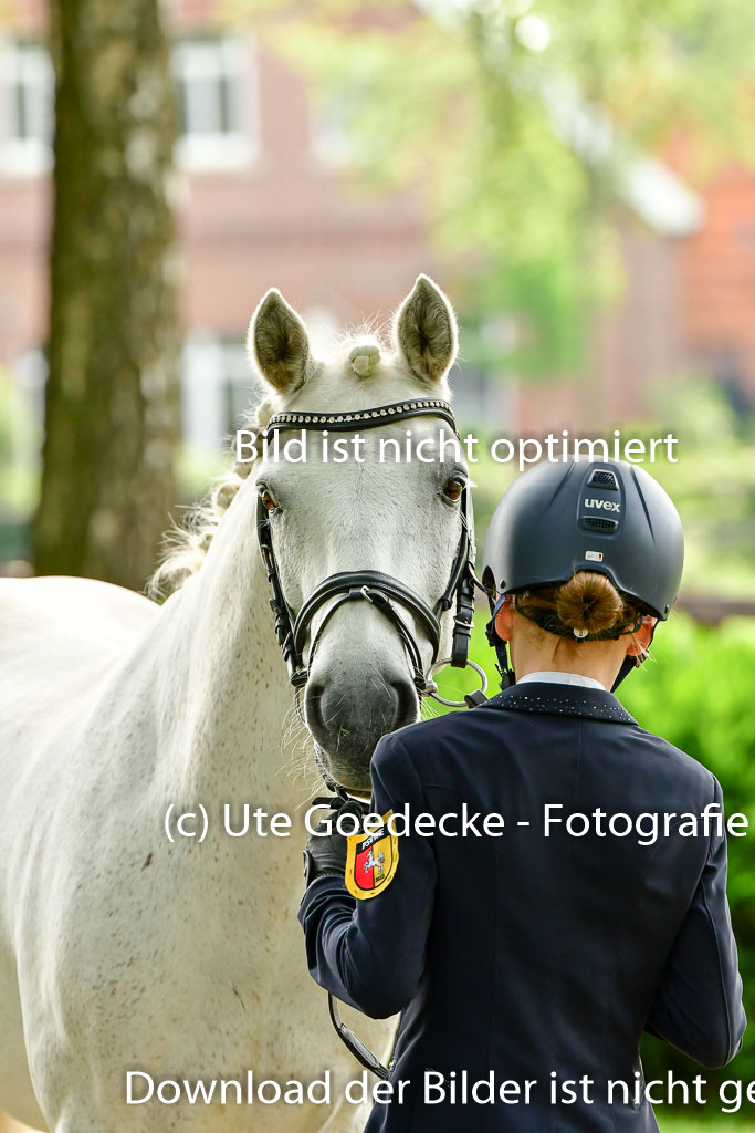Goldene Schärpe Ponys in Löningen 4+5.6.22 | 05062022 Vormustern_082