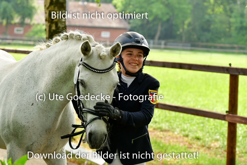Goldene Schärpe Ponys in Löningen 4+5.6.22 | 05062022 Vormustern_085