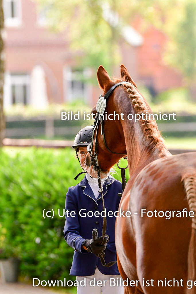 Goldene Schärpe Ponys in Löningen 4+5.6.22 | 05062022 Vormustern_087