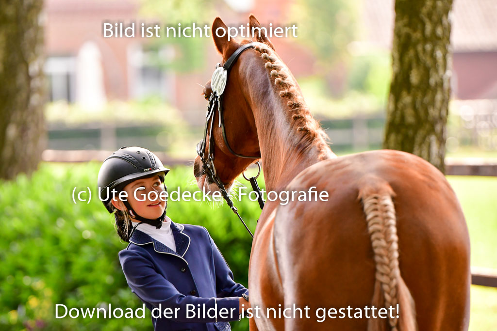 Goldene Schärpe Ponys in Löningen 4+5.6.22 | 05062022 Vormustern_088
